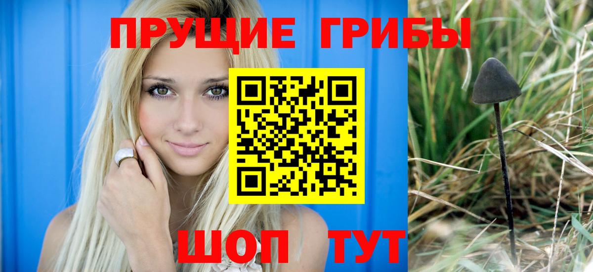 Псилоцибиновые грибы ЛСД Красноармейск